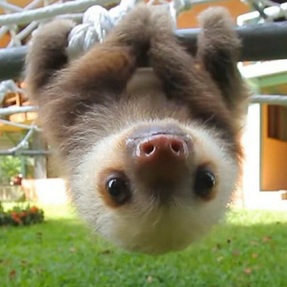 Meet your Posher, Mary - Picture 1 of 1